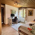 Alpenblick Loft Neben Skilift In Arvenbueel *