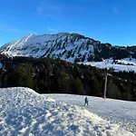 Alpenblick Loft Neben Skilift In Arvenbueel *
