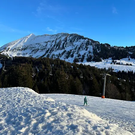 Alpenblick Loft Neben Skilift In Arvenbueel *