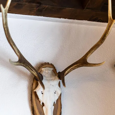 Alpenblick Loft Neben Skilift In Arvenbüel