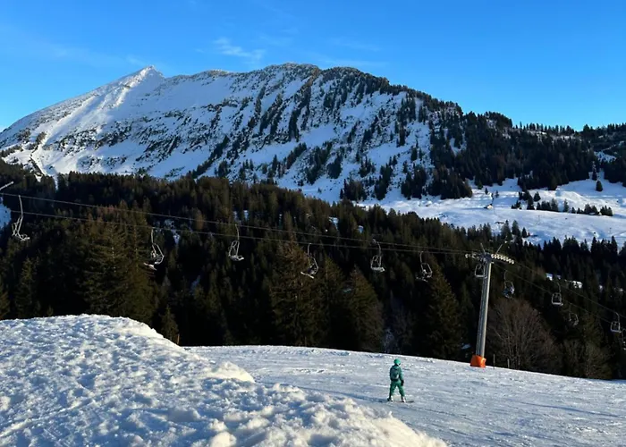Alpenblick Loft Neben Skilift In Arvenbueel *